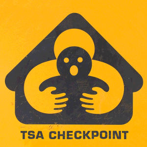 Touched by the TSA